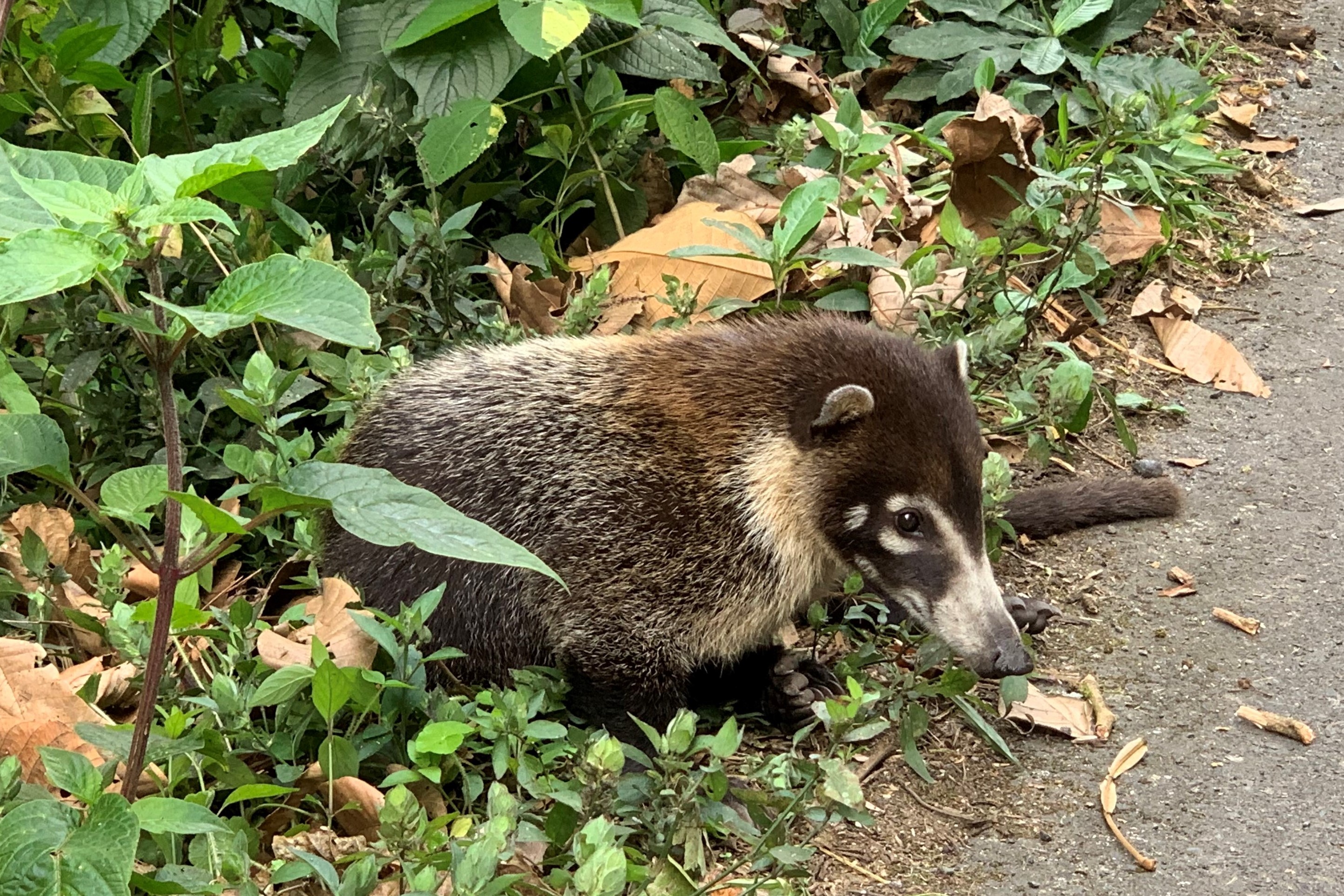 Costa Rica